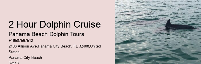 What Month Do Dolphins Have Babies