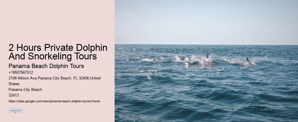 Why Can't You Touch Dolphins