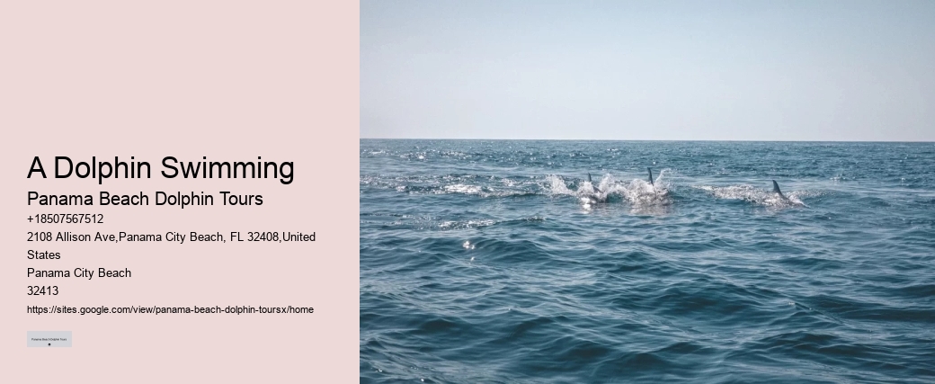 Are there any age restrictions for dolphin tours in Panama City Beach