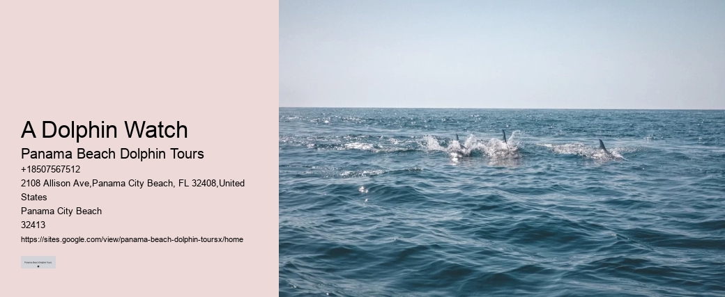 Dolphin Watch 8 Tybee Island