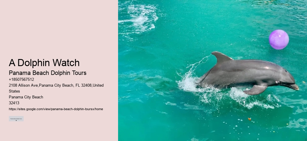 Are Dolphins Actually Happy In Captivity