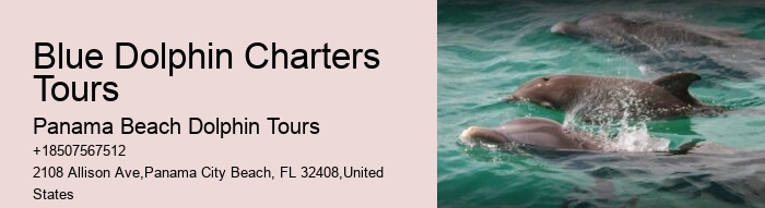 Are food and drinks provided on dolphin tours in Panama City Beach