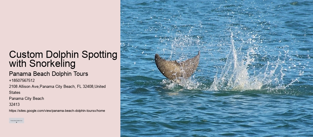 Are there any restrictions on interactions with dolphins during the tours in Panama City Beach