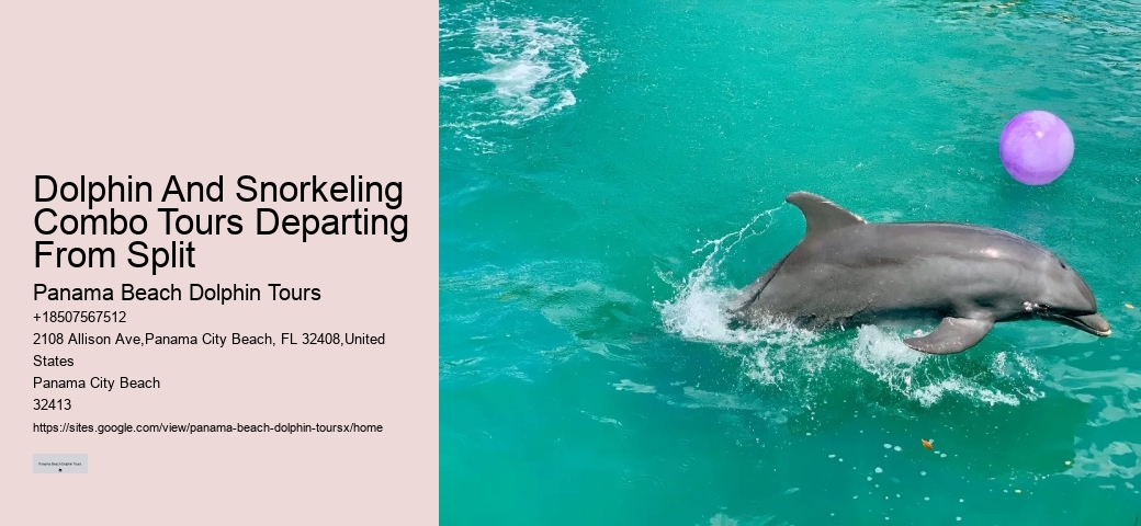 Dolphin And Snorkeling Combo Tours Departing From Split