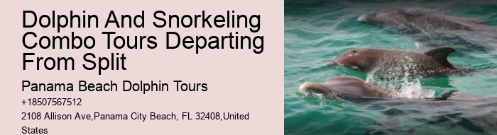 Do Dolphins Use 100% Of Their Brain