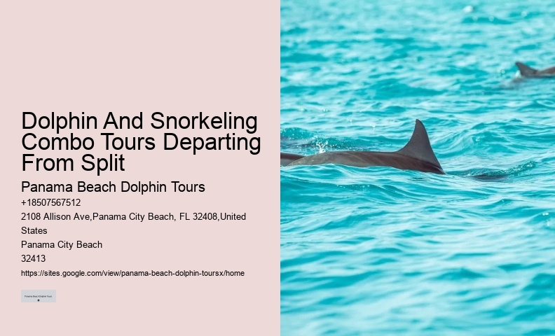 Dolphin Tours In Panama City Beach