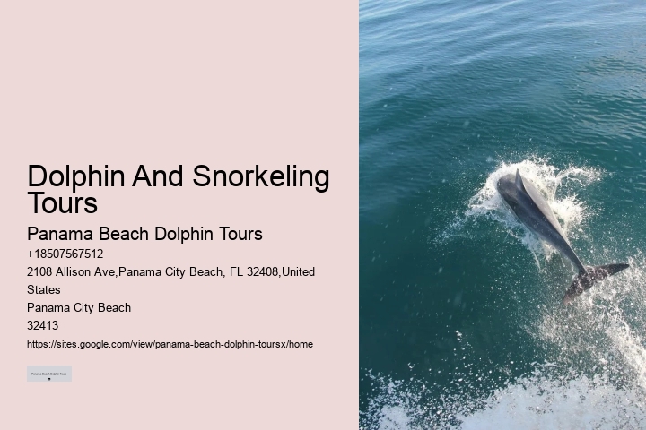 Panama City Beach dolphin watching voyages