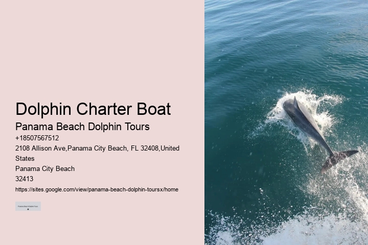 Dolphin Boat Cruises in Panama City Beach