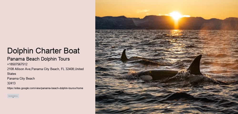 Split Customized Snorkeling And Dolphin Itineraries