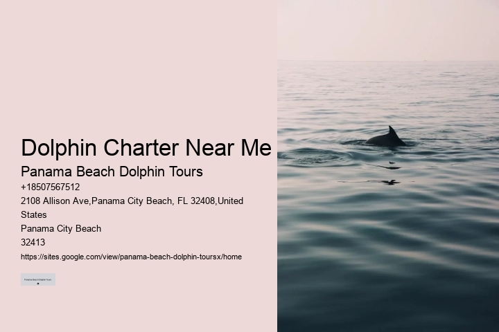 All-inclusive Experiences - Swim With Dolphins