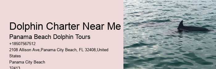 Before Your Tour - Dolphin Encounter