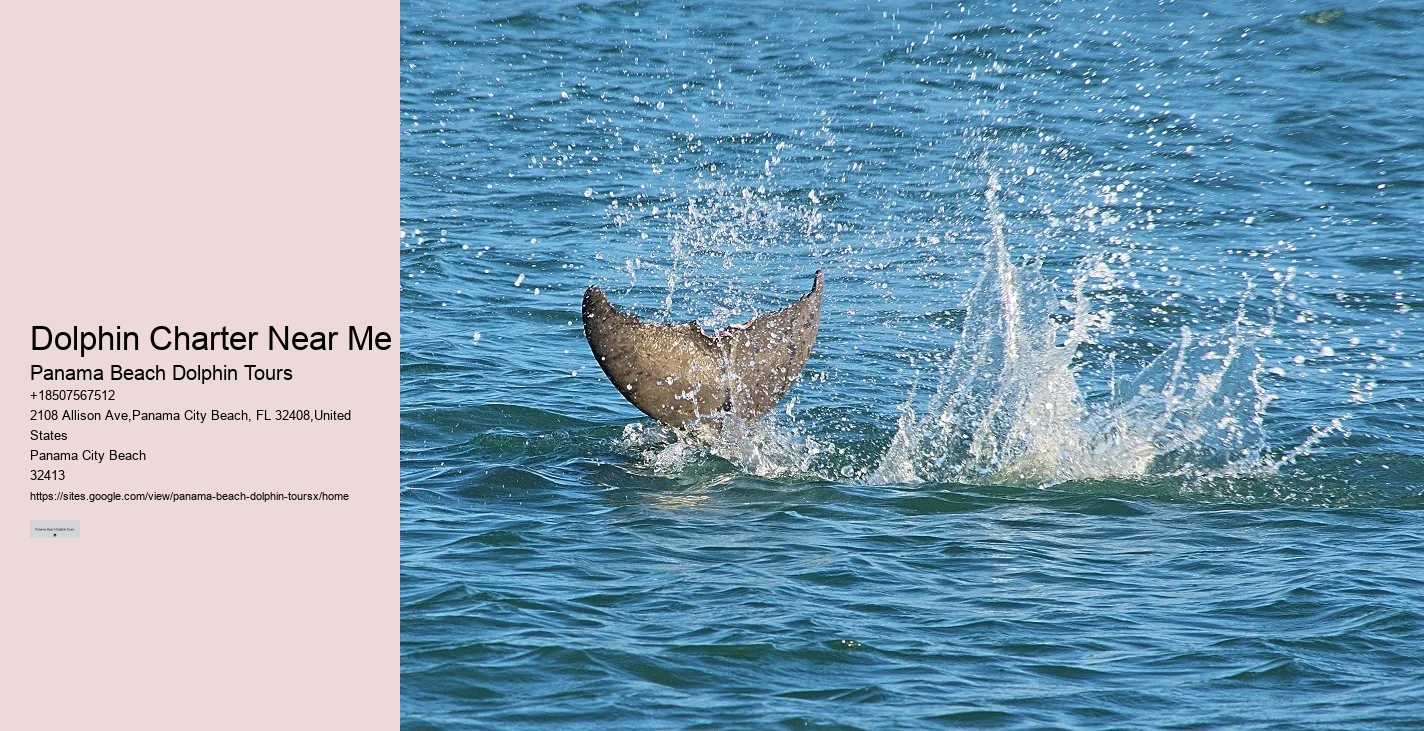 Are Dolphins Naturally Friendly Toward Humans