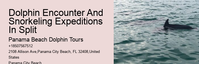 Panama City Beach Dolphin Tours & More