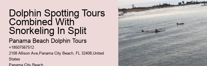 Are Panama City Beach dolphin tours suitable for people with disabilities