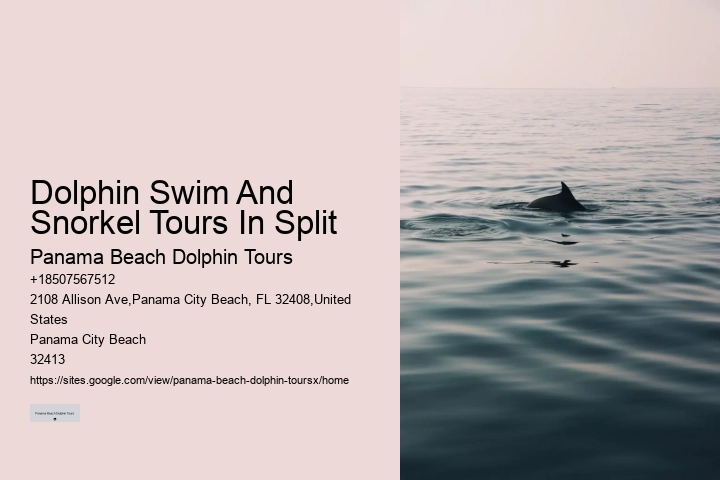 Salty Mary Dolphin And Snorkel Tours Reviews