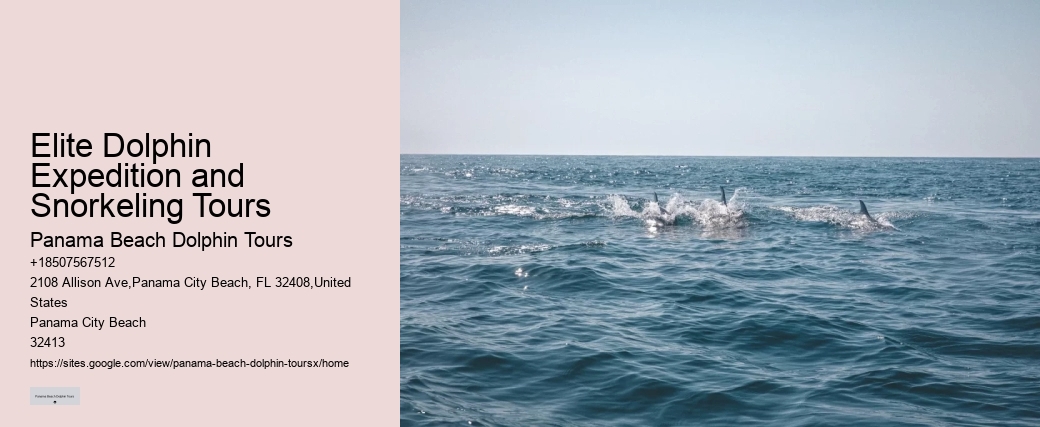 Do Dolphins Ever Bite Hooks