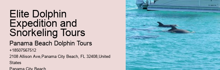 Split Small-group Dolphin And Snorkeling Tours