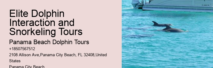 Top 6 Dolphin & Snorkeling Tours In Panama City Beach