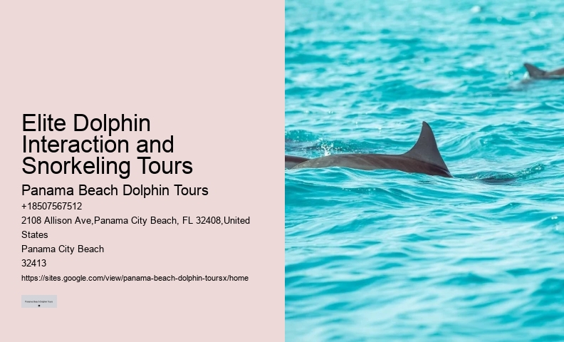 Panama City Beach dolphin exploration tours