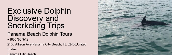 Dolphin Cruise 30a
