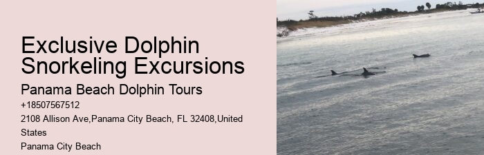 Are there any special events or themed tours for dolphin watching