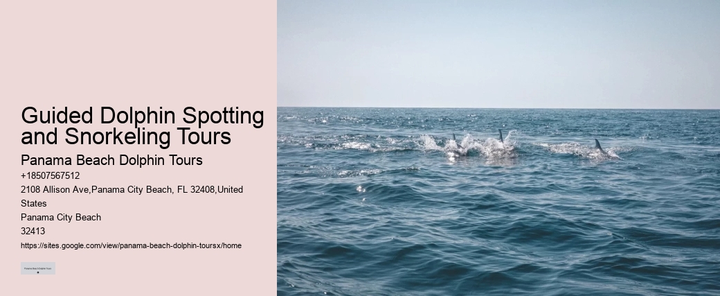 Why Do Dolphins And Orcas Sometimes Get Caught By Fish Hooks