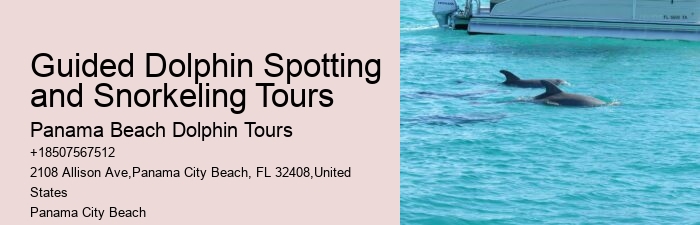Split Ultimate Dolphin And Snorkeling Expeditions