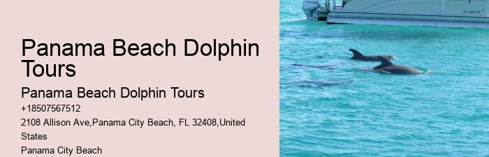 Which Beach Is Best For Dolphin Cruise