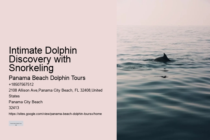 Customized Dolphin Exploration and Snorkeling Adventures