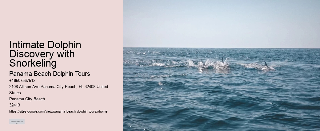 Panama City Beach Private Boat Tours