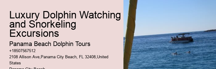 Split Immersive Dolphin Encounter And Snorkeling Tours