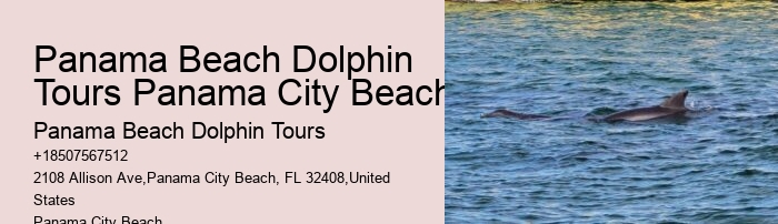 Split Educational Dolphin And Snorkeling Cruises