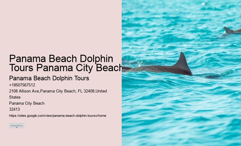 Are Dolphins At Panama City Beach