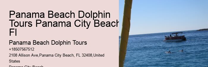 Dolphin Tours Rosemary Beach