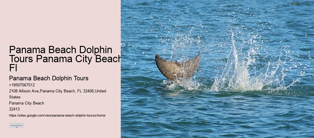 Do Dolphins Really Save Humans