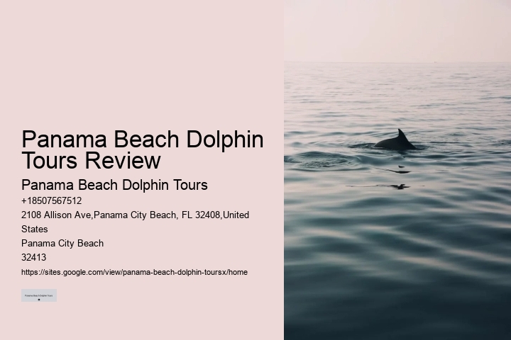 Guided Dolphin Spotting and Snorkeling Tours