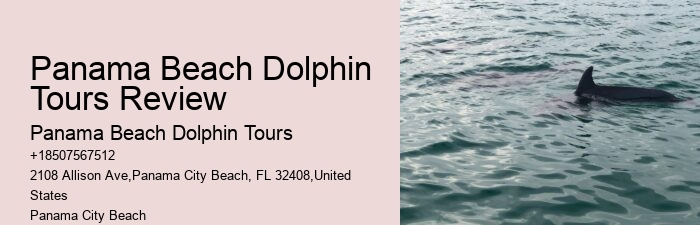 What Beach In Florida Has The Most Dolphins