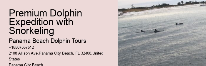 Panama City Beach Dolphin Tours