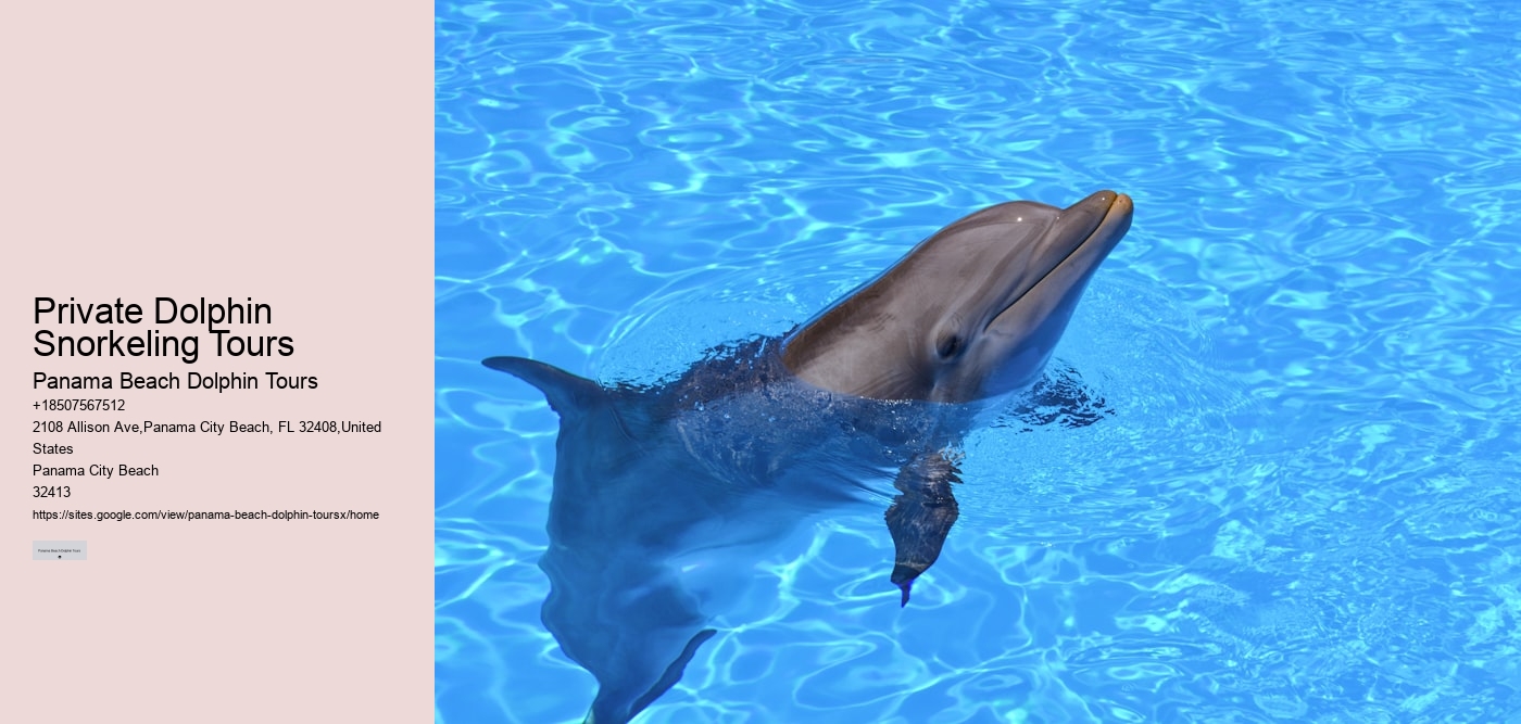 Private Dolphin Snorkeling Tours