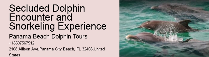 Split Half-day Dolphin And Snorkeling Tours