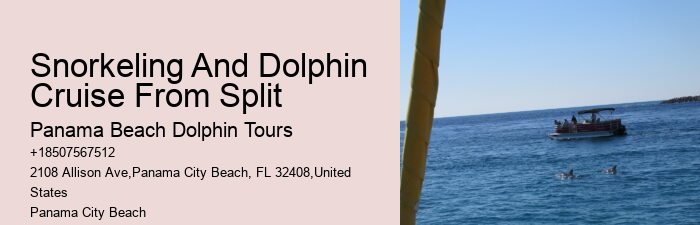 Elite Dolphin Interaction and Snorkeling Tours