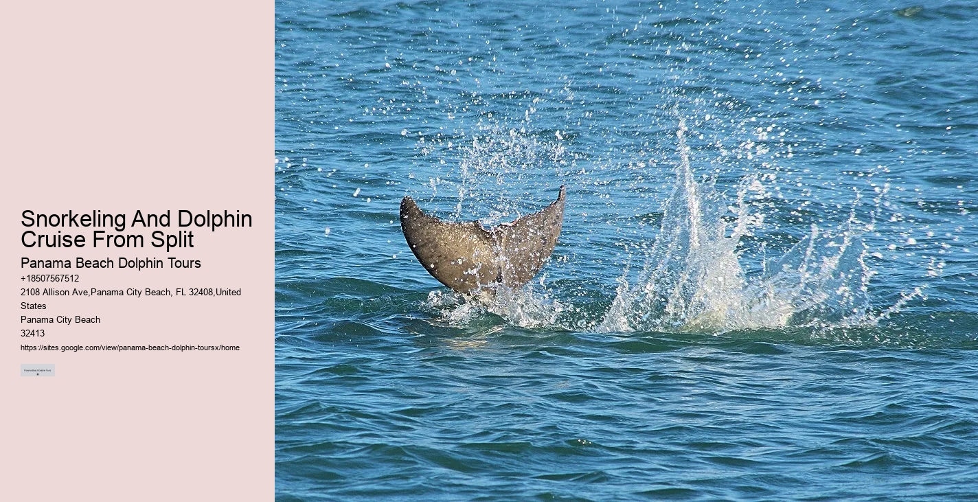 Snorkeling And Dolphin Cruise From Split