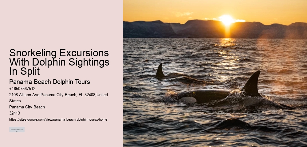 Panama City Beach Catamaran Snorkel Dolphin Swim Cruise