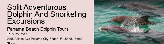 Panama City Dolphin Tours