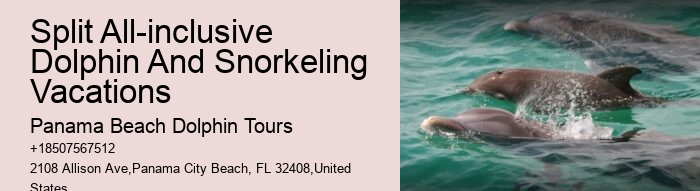 PCB Dolphin Sightseeing Trips