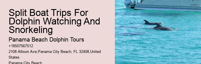 Are there evening sunset dolphin tours available in Panama City Beach