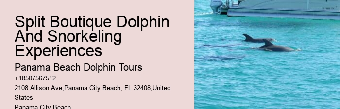 Are Panama City Beach dolphin tours available year-round