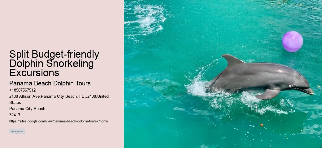 Split Budget-friendly Dolphin Snorkeling Excursions