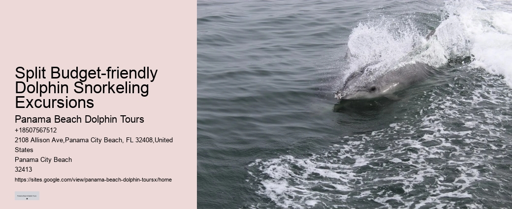 Sunset Dolphin Tours Panama City Beach