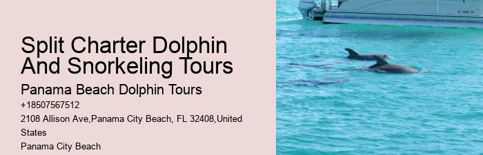 Shell Island Trips & Dolphin Tours
